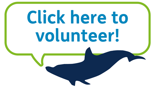 Click here to sign up to volunteer for Monster Bash!